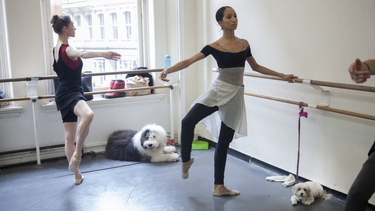 Sarah Smith, left, practices ballet with her dog, Hudson, alongside Courtney Lavine and her dog, Oopsie
