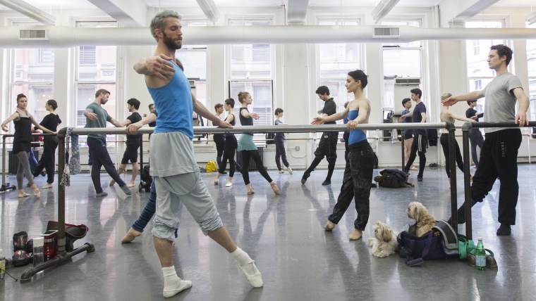 Sarah Lane, in the blue and tan leotard, practices Ballet while her two dogs Cora and Maya sit near her feet