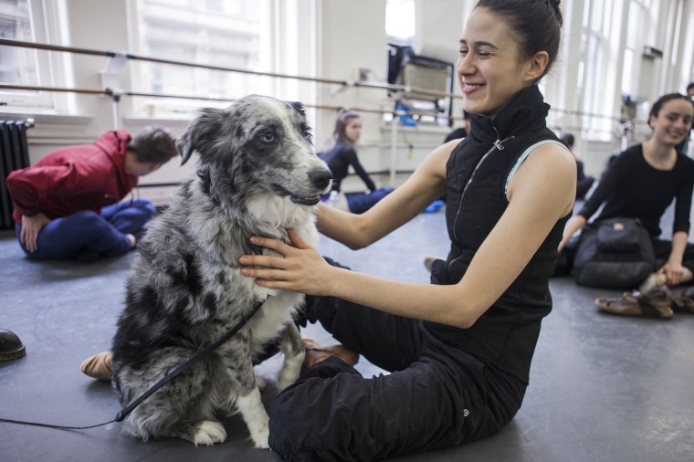 Jamie Kopit plays with her dog, Lyla, an Australian Shepard