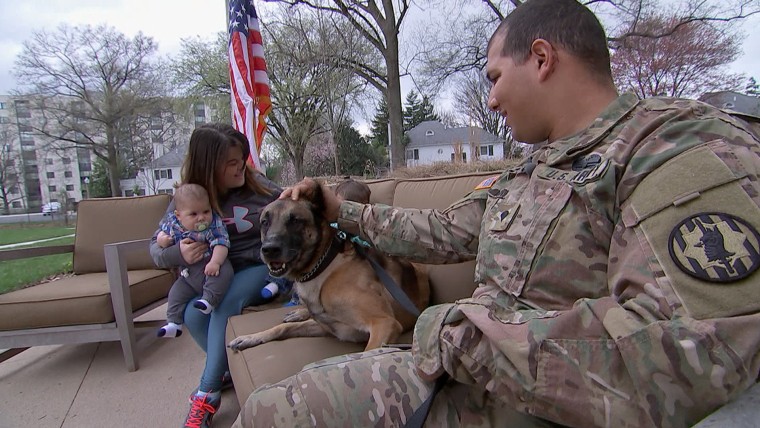 Military dog and veteran have heartwarming reunion