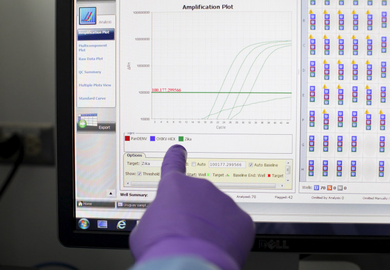 Image: A scientist points at a screen with a program that measures samples processed at the Laboratory of Entomology and Ecology of the Dengue Branch of the U.S. Centers for Disease Control and Prevention in San Juan