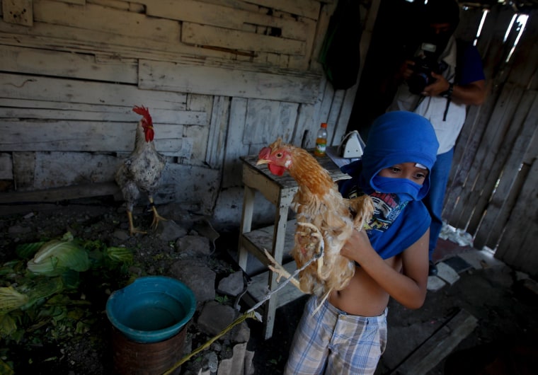 Child covers his face for security reasons while holding a hen before fleeing Las Torres neighbourhood.