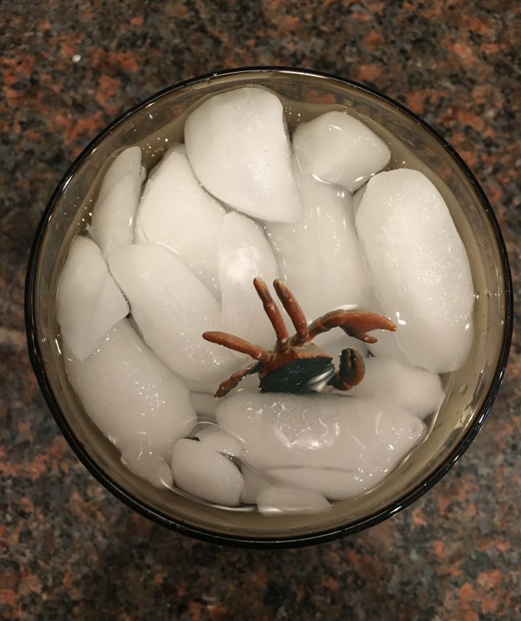 Bug in Ice