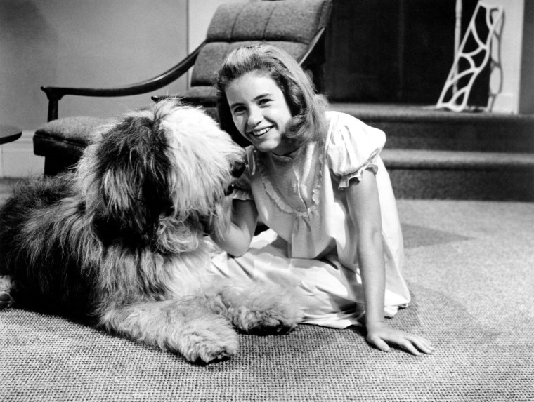 THE PATTY DUKE SHOW, Patty Duke, 1963-66