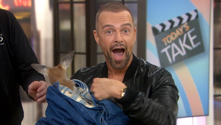Joey Lawrence gets a surprise visit from a very different kind of 'joey