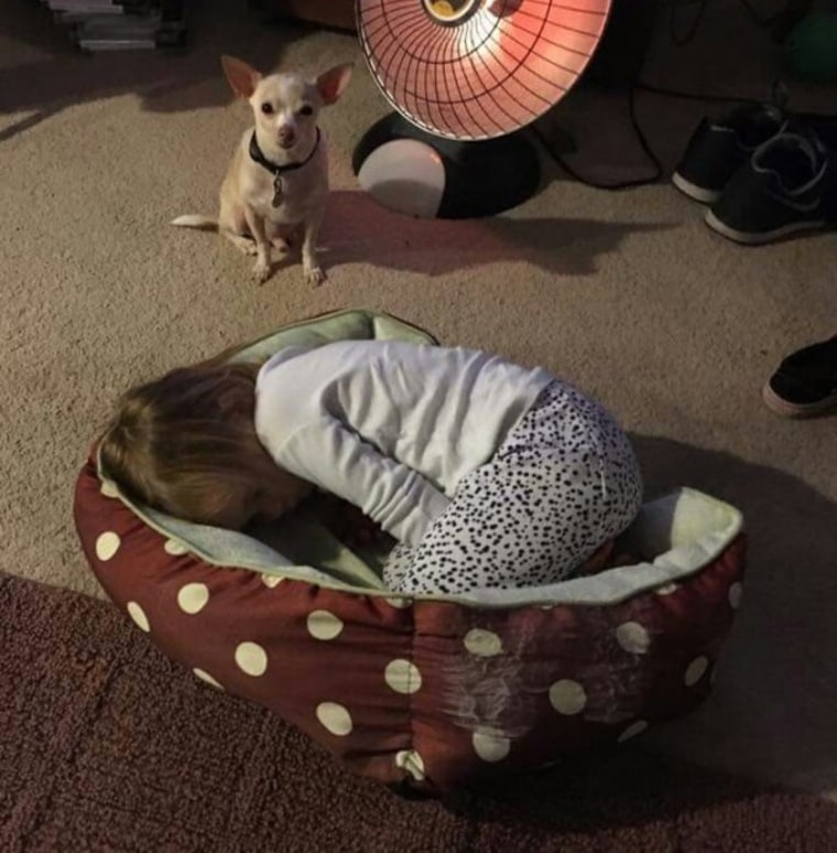 Girl sleeping in dog bed