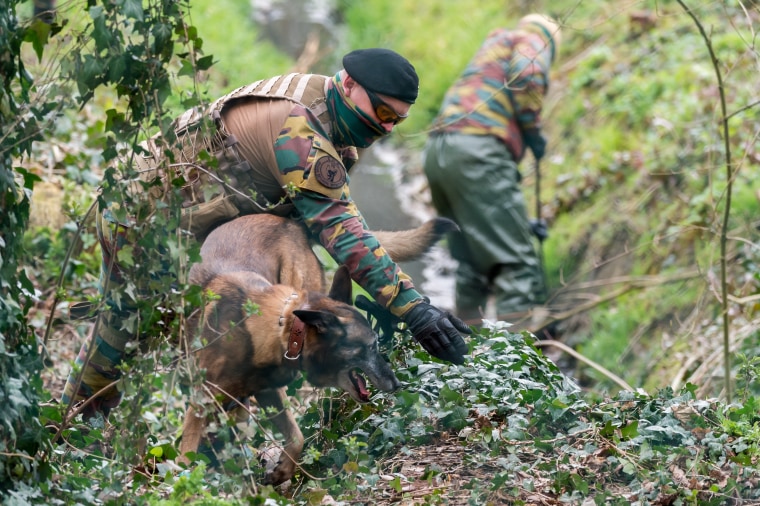 Image: Search underway in Belgium