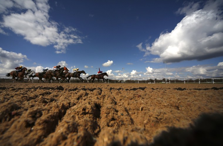 Image: Racers at the Wolverhampton racecourse