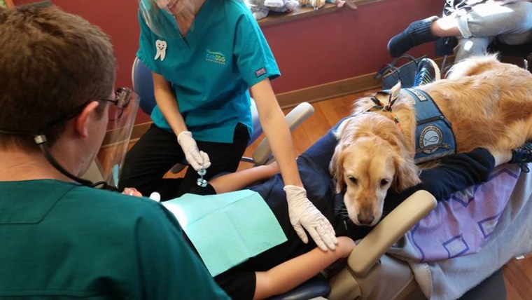 JoJo helps a patient relax while in the dentist chair