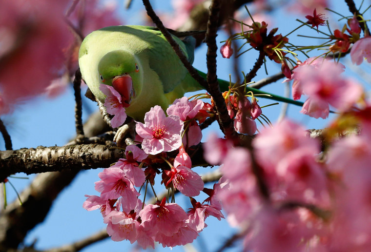 Image: