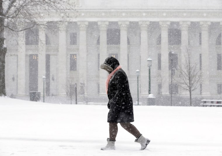 Image: A pedestrian walks in the snow in Albany