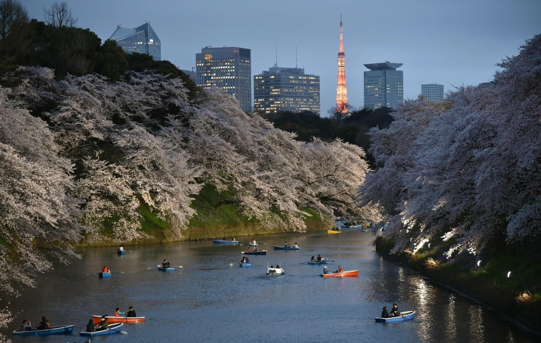Image: Visitors row boats in a moat surrounding Edo Castle in Tokyo