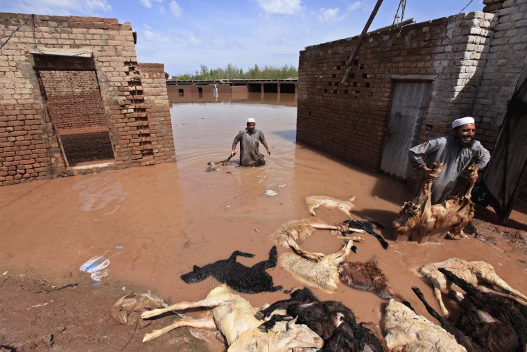 Image: Torrential rains kill 53 people in Pakistan