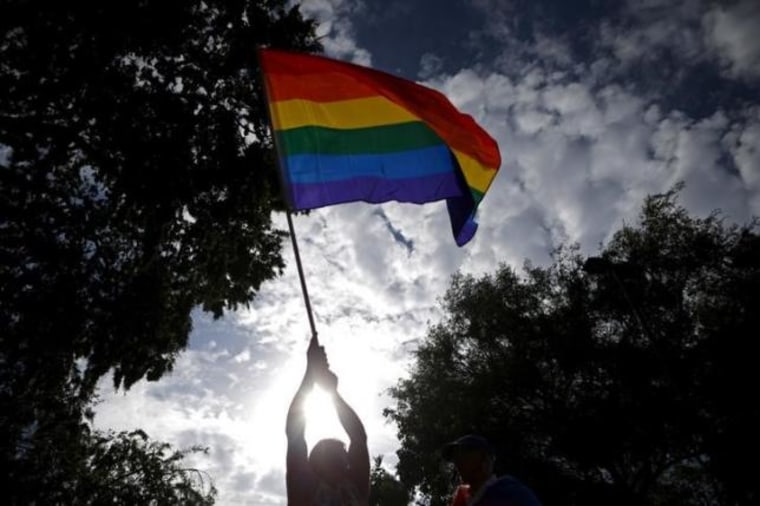 A man waves an LGBT equality rainbow flag at a celebration rally in West Hollywood, California,