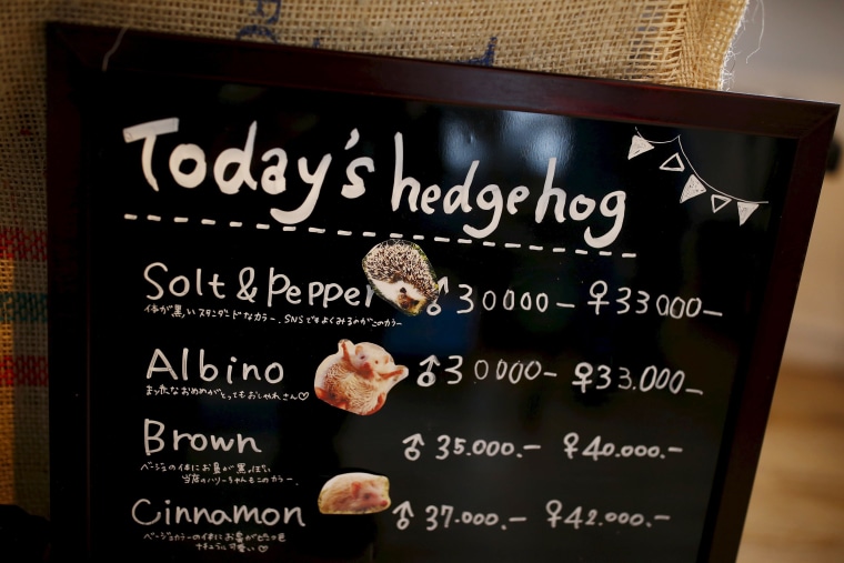 Image: A board shows a selection of hedgehogs for sale at the Harry hedgehog cafe in Tokyo