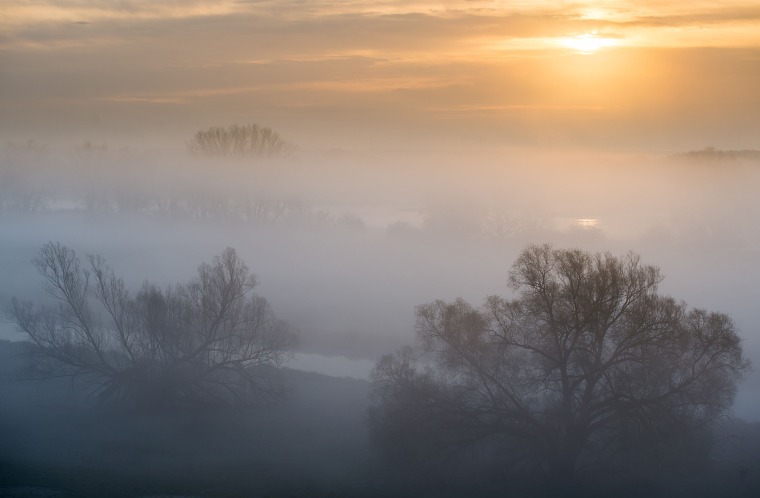 Image: Fog is clearing from the river Oder and one of its tributaries during sunrise near Lebus