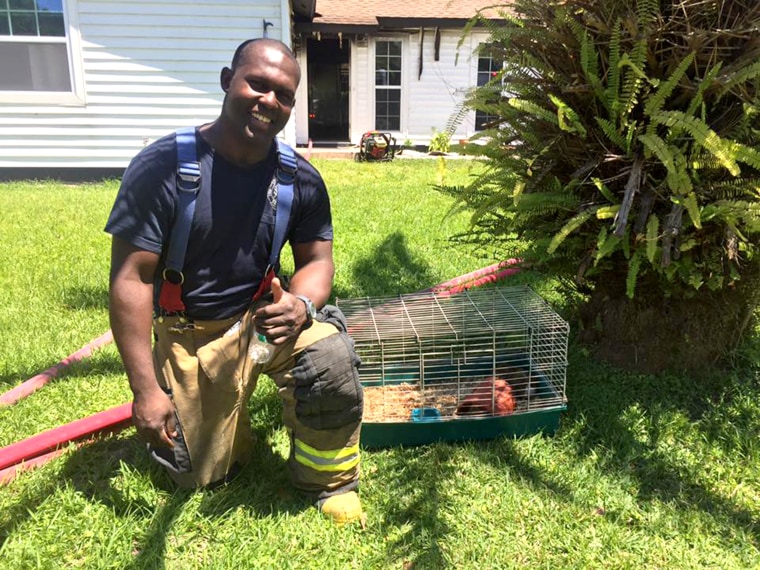 Firefighter John Williams rescued Rodney