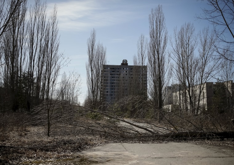 Image: A building in the abandoned city of Pripyat, Ukraine