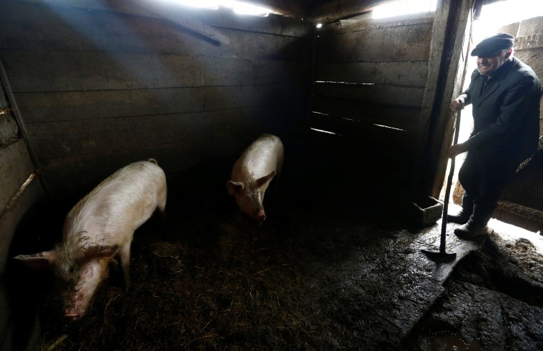 Image: The Wider Image: Chernobyl - living in the exclusion zone
