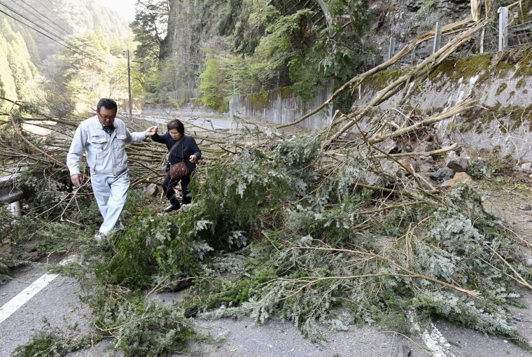 Image: Trees block a national highway in Hita
