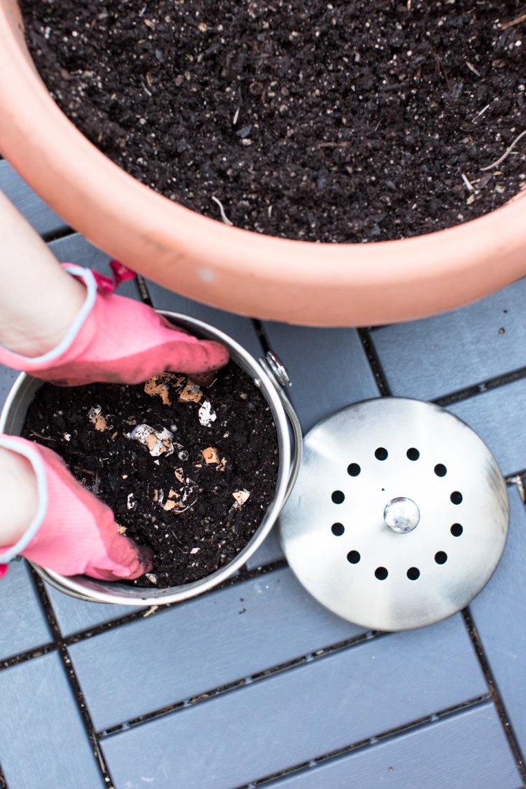The rich, organic material made from composting can be used as a plant fertilizer in your garden.