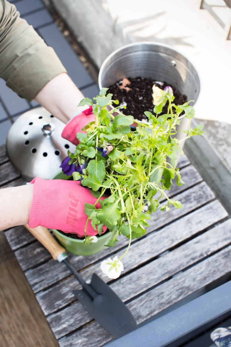 You can use the compost in your own plants or put it in community bins for use in public parks and gardens.