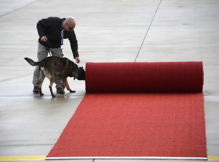 Image: A security officer with a sniffer dog checks the red carpet ahead of U.S. President Obama visit to Hanover