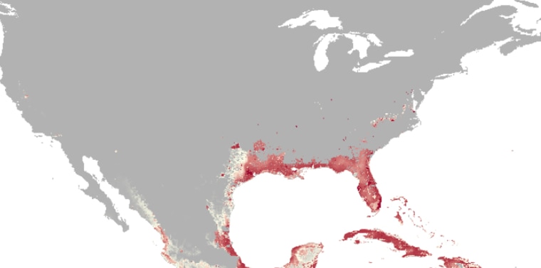 New Map Finds 2 Billion People At Risk of Zika Virus