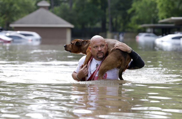 Image: Louis Marquez carries his dog Dallas through floodwaters