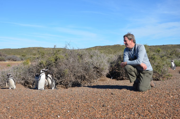 Cristián Samper, CEO of Wildlife Conservation Society, photographed with Magellanic penguin.
