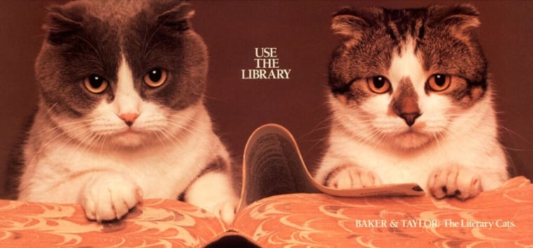 Baker and Taylor library cats