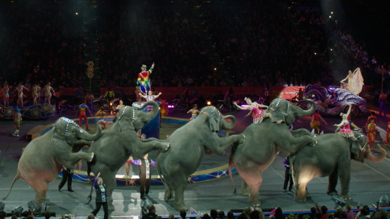 End of era at Ringling Brothers' shows as elephants have final circus perfomance.