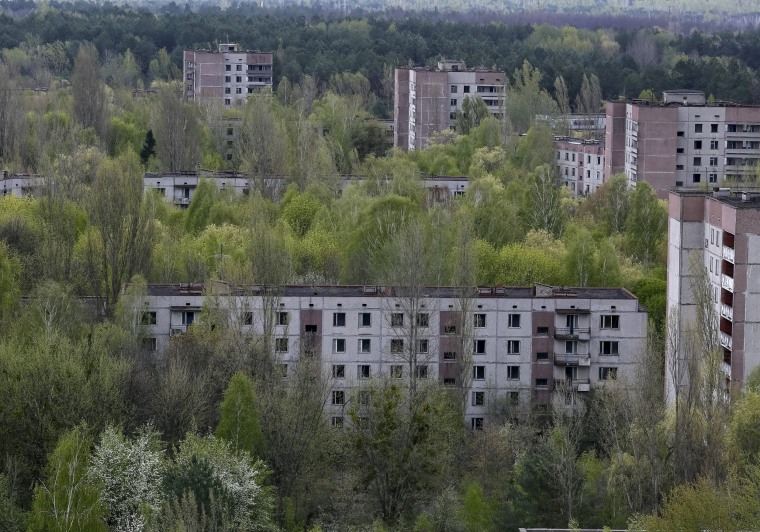 Image: A view of the abandoned city of Pripyat is seen near the Chernobyl nuclear power plant