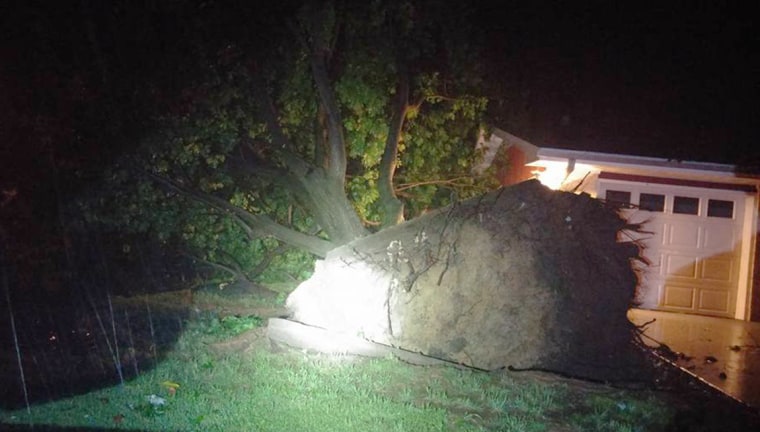 Image: Uprooted tree in Checotah, Oklahoma