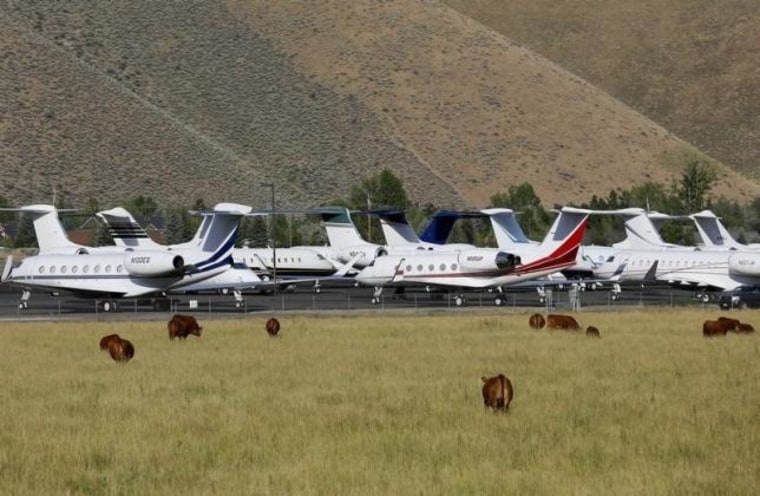 Cows graze outside the Sun Valley airport in Hailey, Idaho