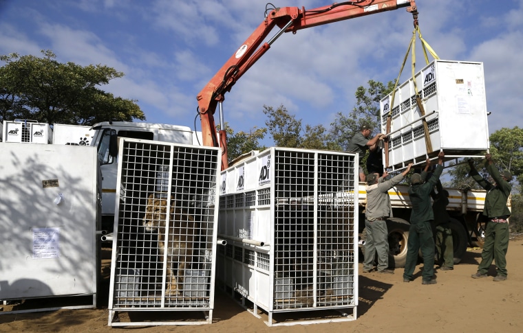 South Africa Lion Airlift