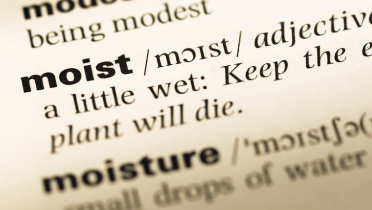 dictionary definition of the word "moist"