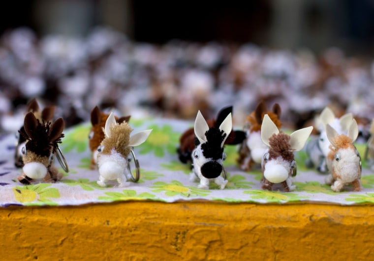 Image: Mexico Donkey Fair
