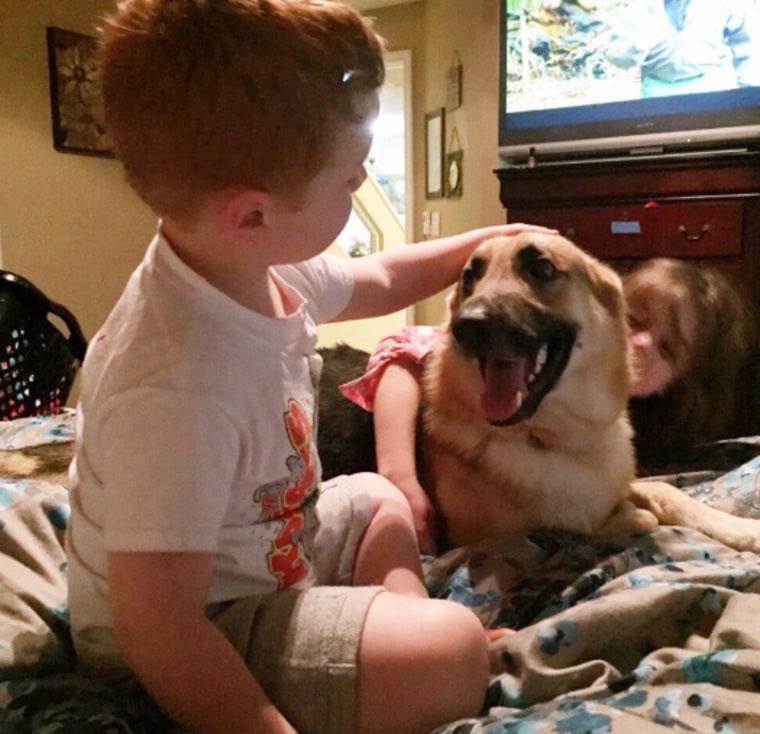 Haus, the hero dog, plays with the DeLuca kids
