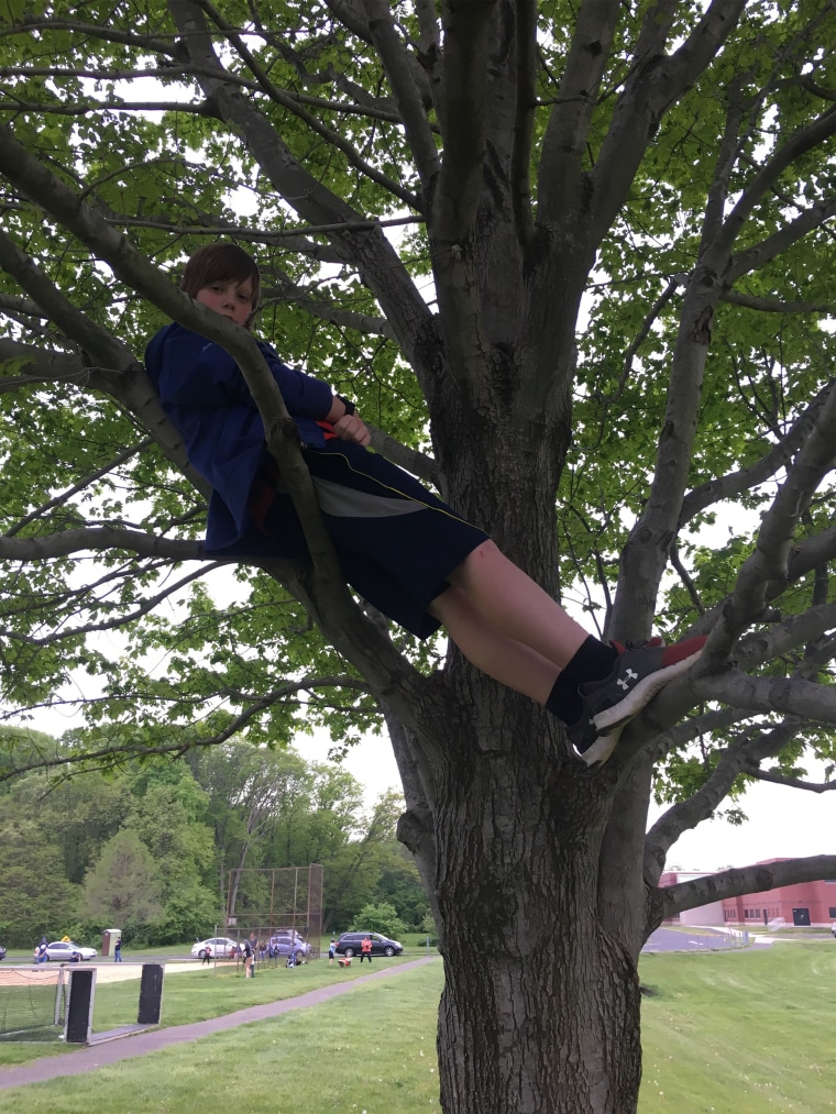 Ryan Holcombe in the tree near his middle school.