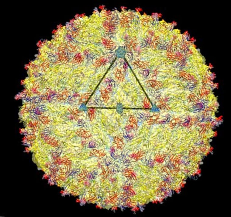 A cryo-electron microscopy image of the Zika virus structure. The triangle highlights the asymmetric unit of the virus.