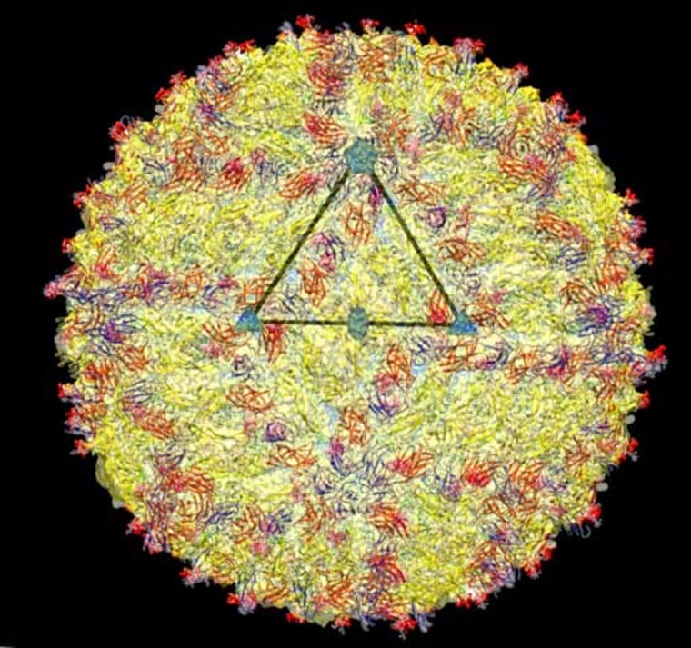 CAPTION
A cryo-electron microscopy image of the Zika virus structure. The triangle highlights the asymmetric unit of the virus.