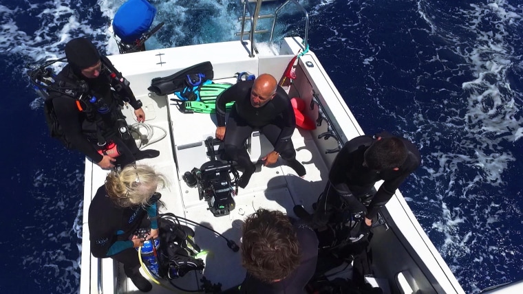 "This is so beautiful. It's almost beyond your imagination," says Harry Smith, as he dives in the Palmyra Atoll waters.