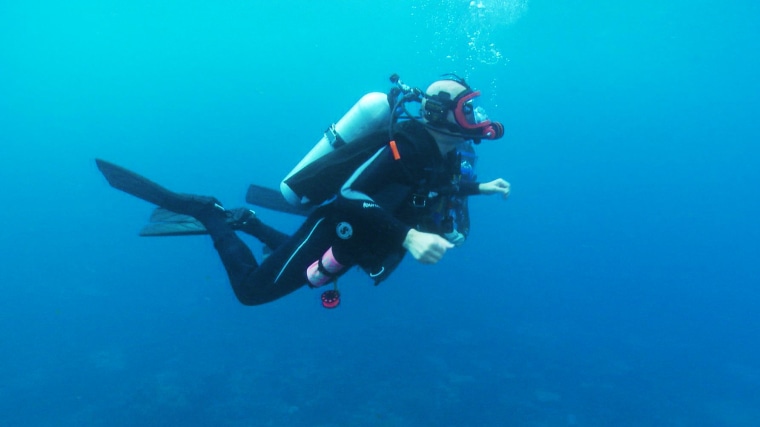 Harry Smith diving in the Palmyra Atoll waters.