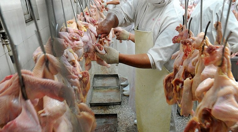 Chinas bird flu outbreak cost $6.5 billion