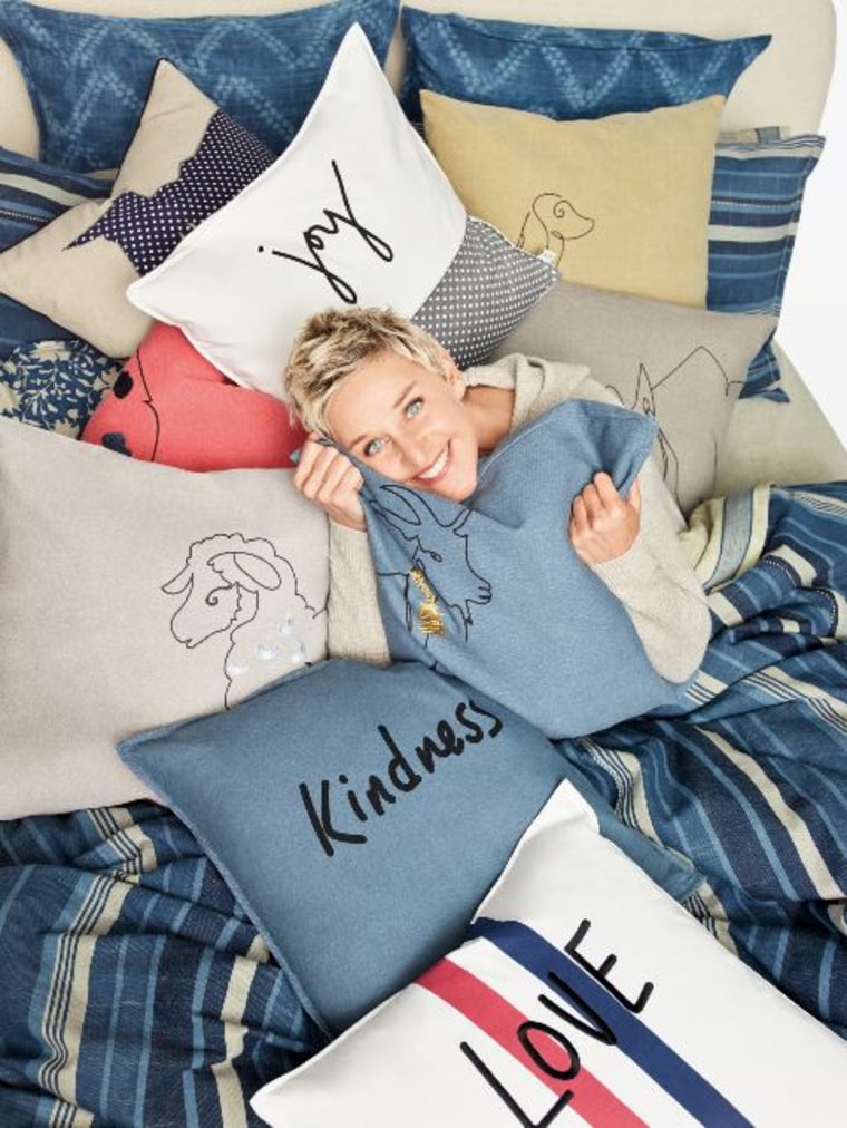 Ellen degeneres pillow outlet cases