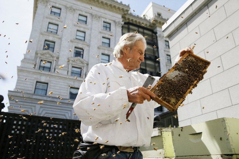 Image: hotel bee San Francisco