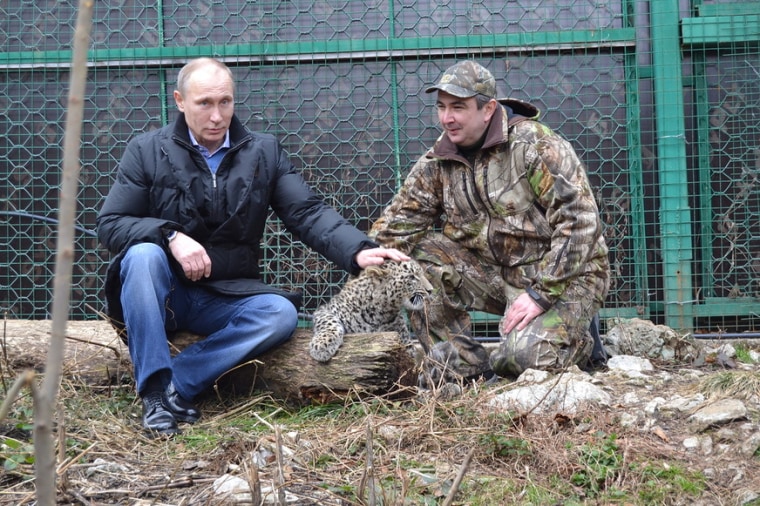 Image: Russian President Vladimir Putin pets a Persian leopard