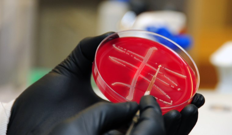 Staff at Walter Reed Army Institute of Research test the concerning new bacteria carrying the mcr-1 antibiotic resistance gene