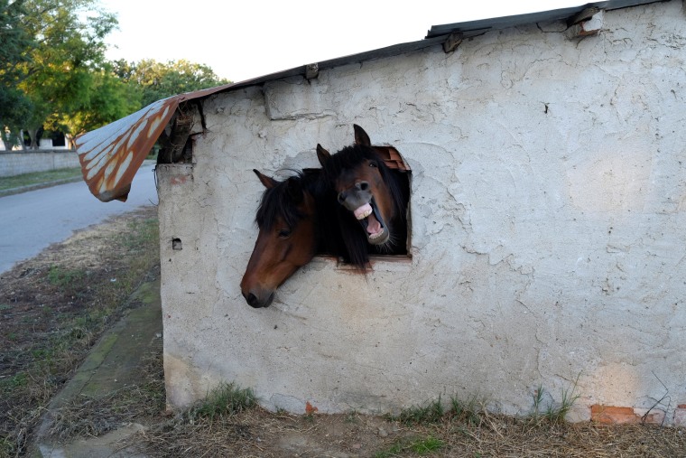 Image: Today in Pictures